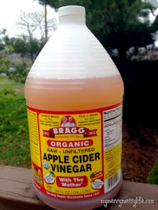 AppleCiderVinegar11