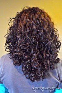Baking Soda Shampoo and Apple Cider Vinegar Conditioner