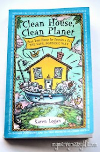HomemadeCleaners1
