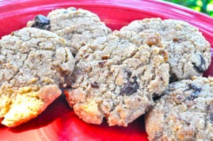 coconut-almond-chocolate-chip-cookies-4