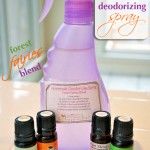 Homemade Deodorizing Spray – Non-Toxic and Green