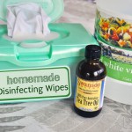 Homemade Reusable Disinfecting Wipes – All Natural