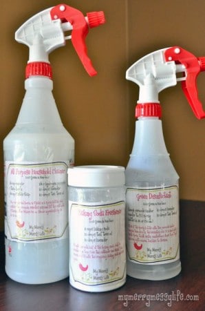 homemade-green-household-cleaners