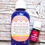 DIY Natural Bug Spray - No Deet or Chemicals, and Safe for the Whole Family!