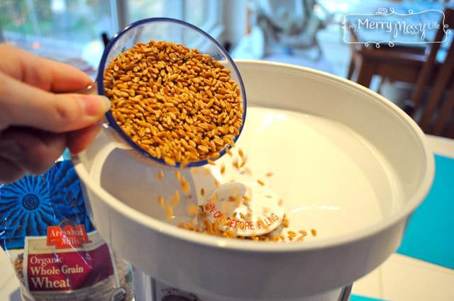 Multigrain Wheat Bread Machine Recipe - Grind the Wheat