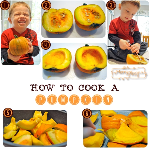 How to Cook a Pumpkin for Pumpkin Pie