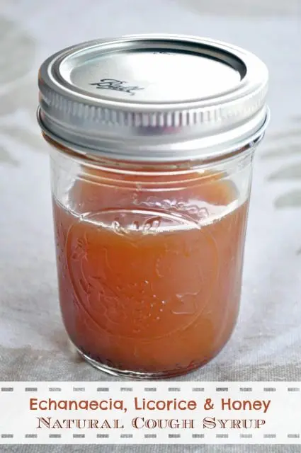 DIY Natural Cough Syrup Recipe