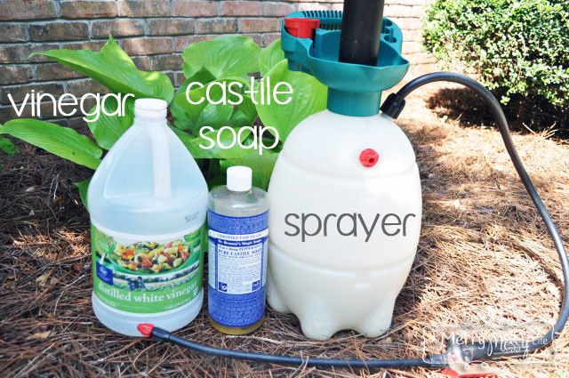 All Natural Weed Killer - Vinegar, Castile Soap and a Garden Sprayer