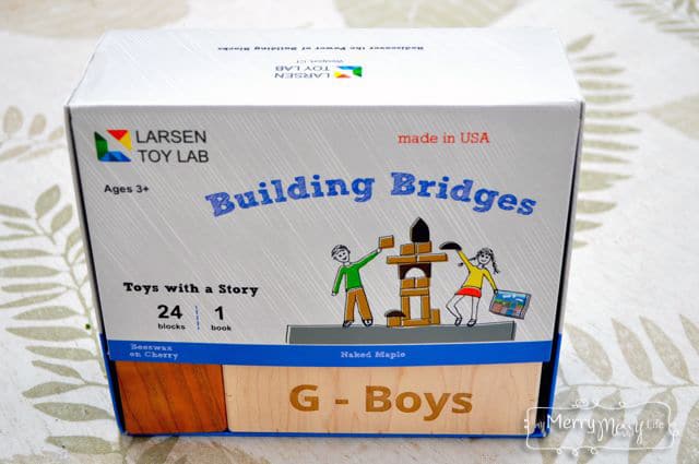 Larsen Toy Lab Blocks – Sustainable & Non-Toxic!