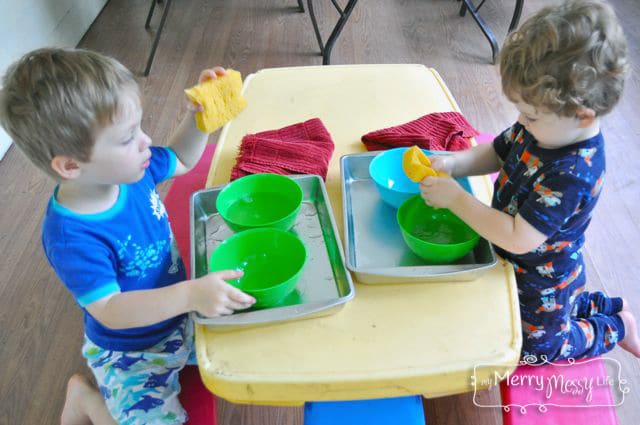 Montessori Water Transfer Learning Activity for Preschoolers