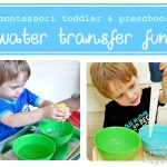 My Merry Messy Life: Cheap Montessori Water Transfer Tray Activity for Preschoolers
