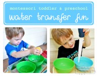 Cheap Montessori Water Transfer Tray Activity for Preschoolers