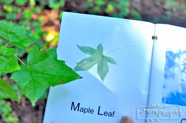My Merry Messy Life: Toddler Field Guide for Nature Walks and Scavenger Hunts