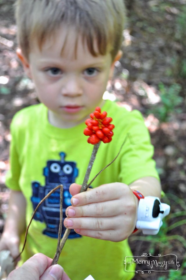 My Merry Messy Life: How to Go on a Nature Walk with Toddlers
