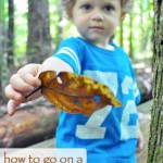 My Merry Messy Life: How to go on a Nature Walk with Kids to Inspire an Appreciation for Nature