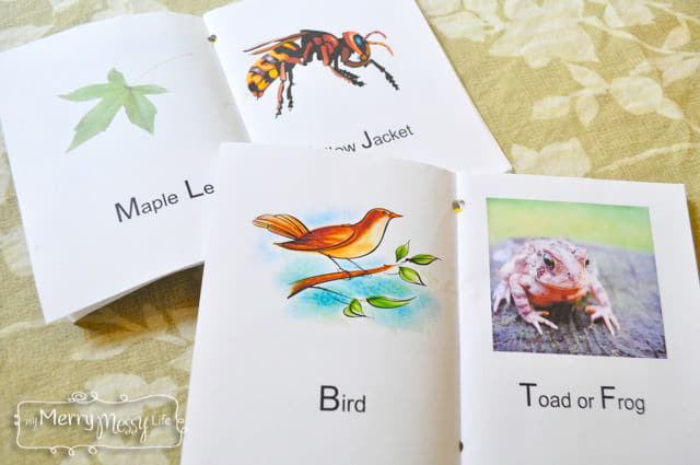 Nature Hunt Free Printable Booklet for a Nature Walk with Preschoolers