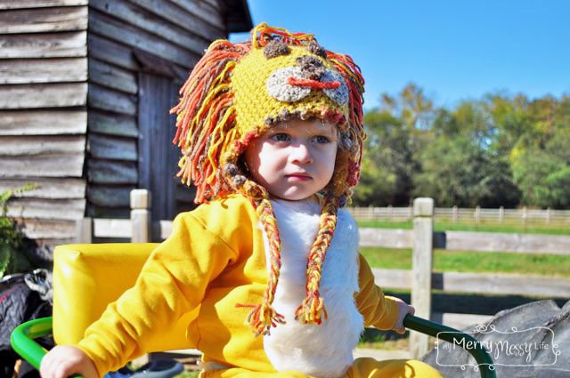 Free Crochet Lion Beanie Pattern in sizes newborn through adult! Perfect for Halloween and those who love lions.