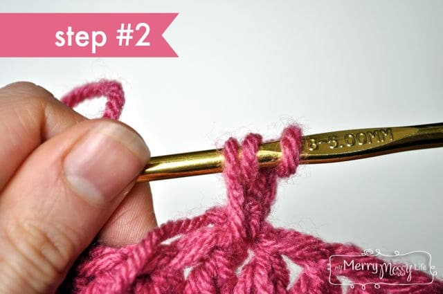 Crochet Stitch Tutorial - Forked Half Double Crochet - Step #2