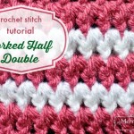 Crochet Stitch Photo Tutorial - Forked Half Double Crochet - an easy stitch that even a beginner can do!