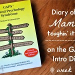 Diary of a Mama Toughin It Out on the GAPS Intro Diet - Week 1