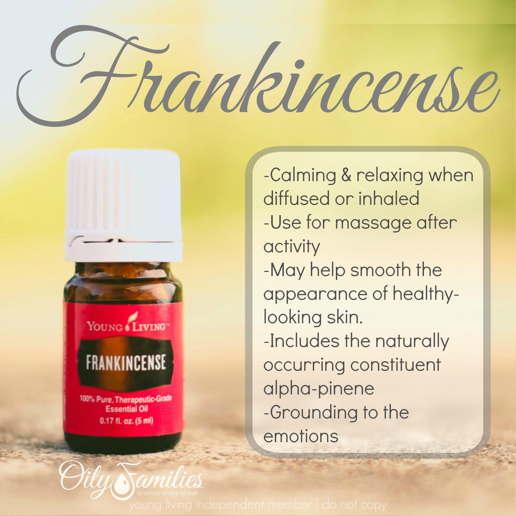All About Frankincense Essential Oil