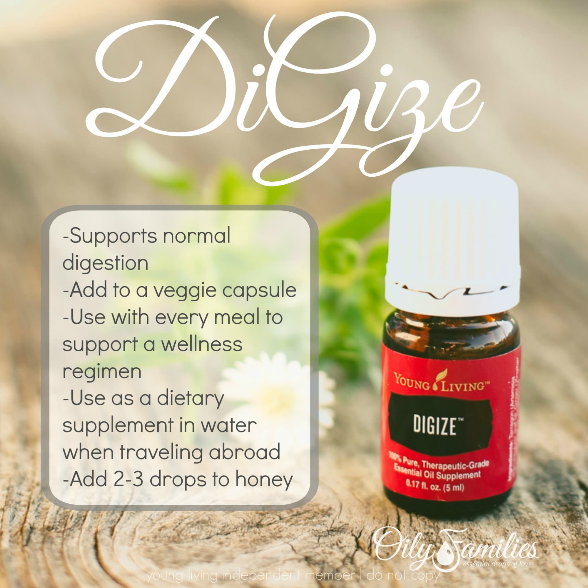 All About Di-Gize Essential Oil