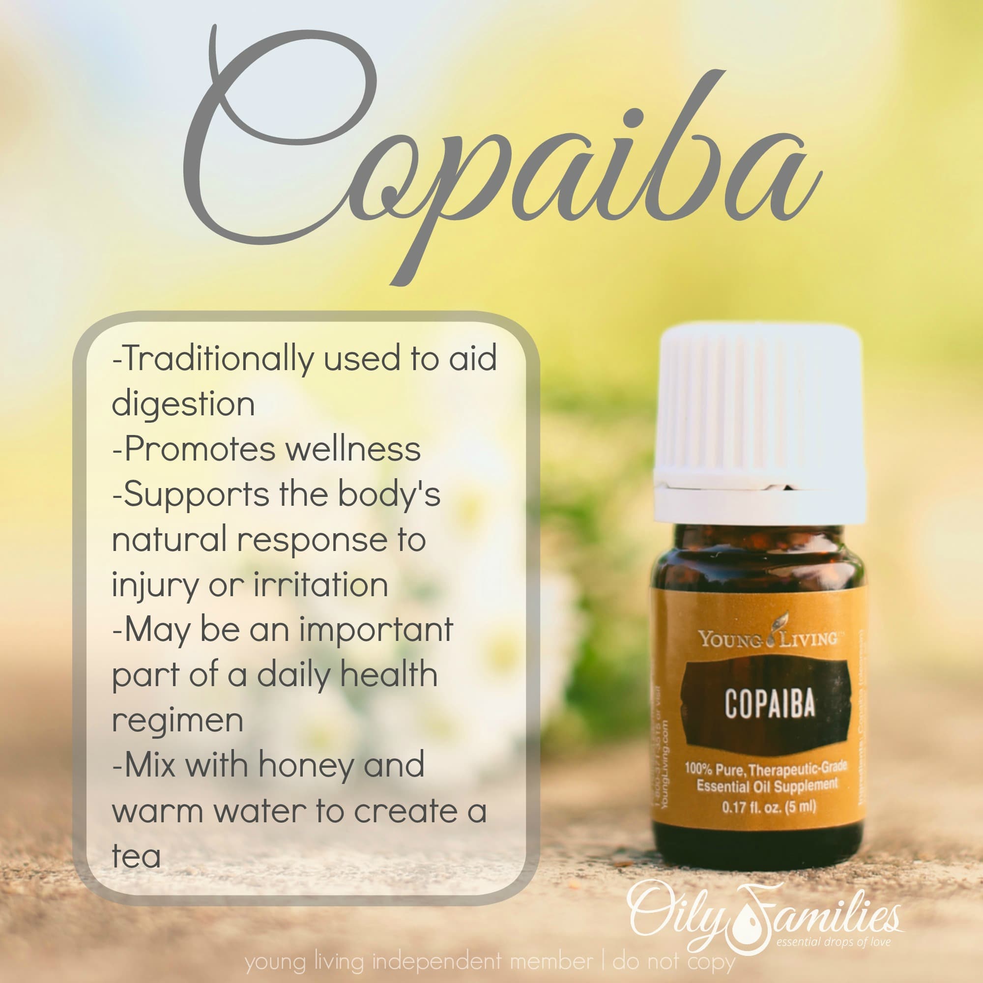 All About Copaiba Essential Oil