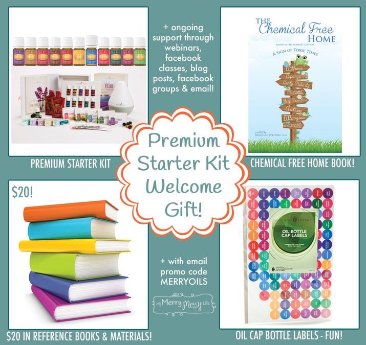 Premium Starter Kit Promotions from My Merry Messy Life
