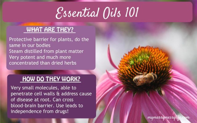 11 Essential Oils: Their Benefits and How To Use Them – Cleveland