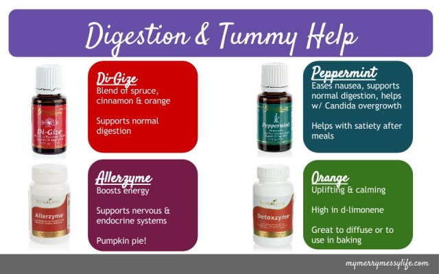 Digestion and Tummy Help with Essential Oils and Supplements