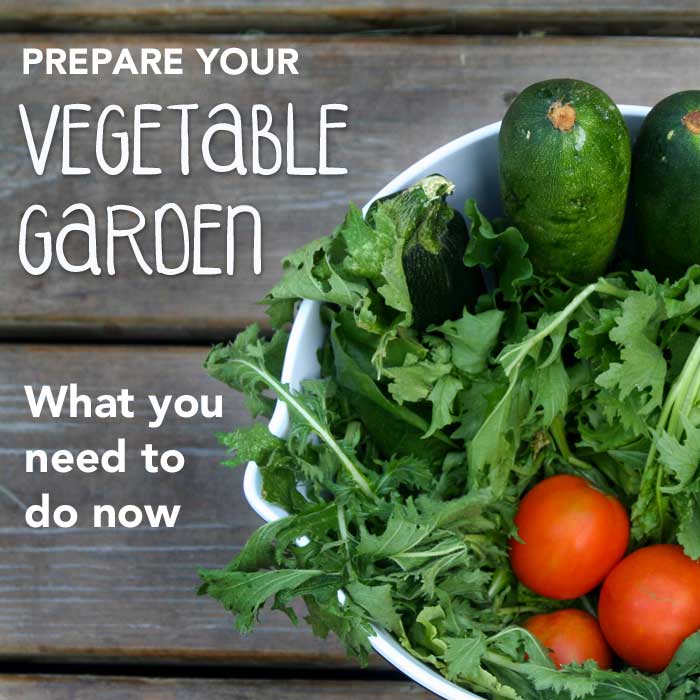 Planning a Vegetable Garden This Summer? What You Should Do Now