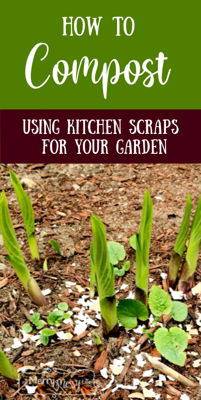 How to Compost using Kitchen Scraps for Your Garden to Get Black Gold Soil
