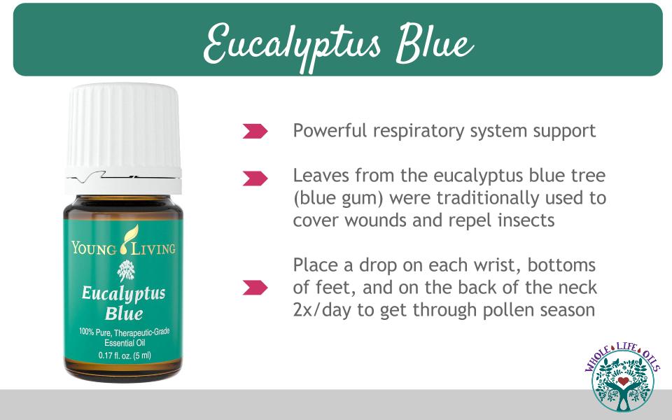 Blast Away Pollen and Survive Springtime with Eucalyptus Blue