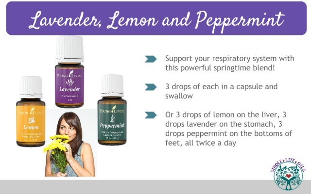 Essential Oils like Lavender, Lemon, and Peppermint Support the Respiratory and Immune Systems during Springtime