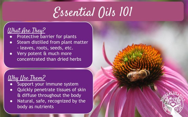 What Are Essential Oils and Why Use Them?