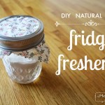 DIY Easy Fridge Freshener - All Natural!