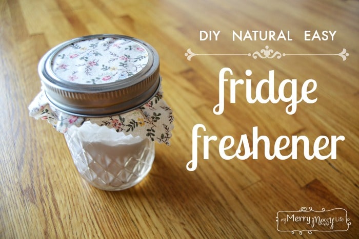 DIY Easy Fridge Freshener - All Natural!