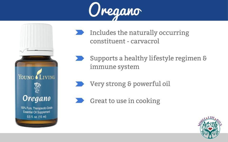 Oregano Essential Oil - A Powerhouse for the Immune System