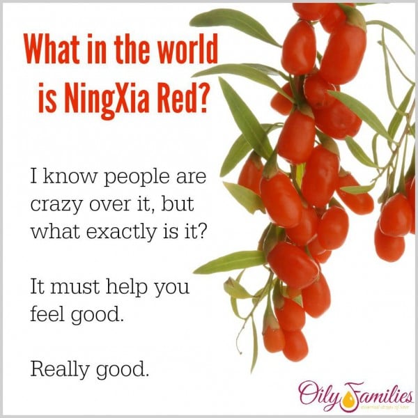 What in the World is Ningxia Red?