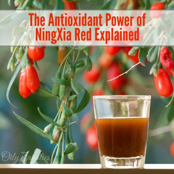 The Antioxidant Power of NingXia Red (An why antioxidants are good for you!)
