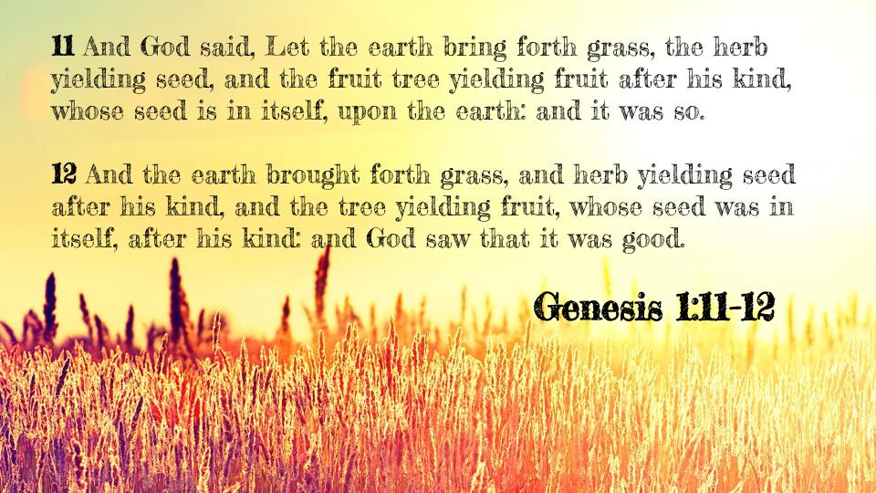 Plants are mentioned at the very beginning of the Bible
