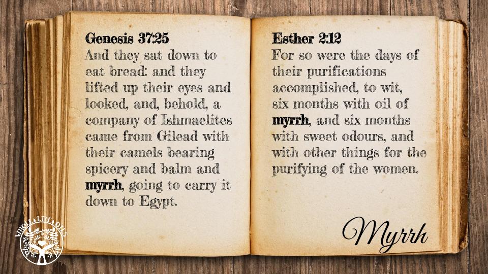 Biblical References to Myrrh Essential Oil