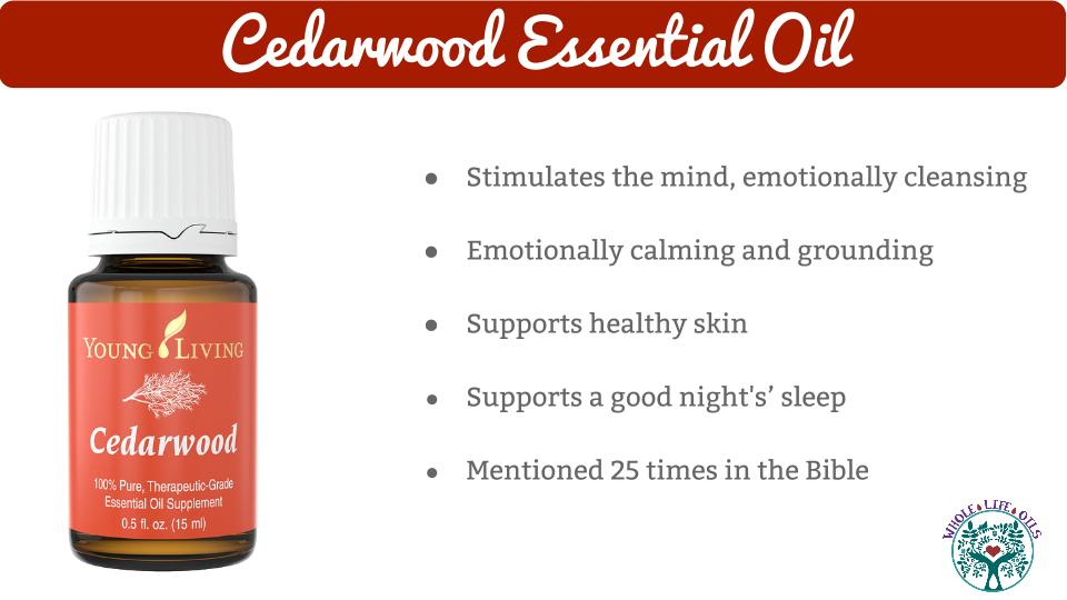 Cedarwood Essential Oil and Its Health Benefits