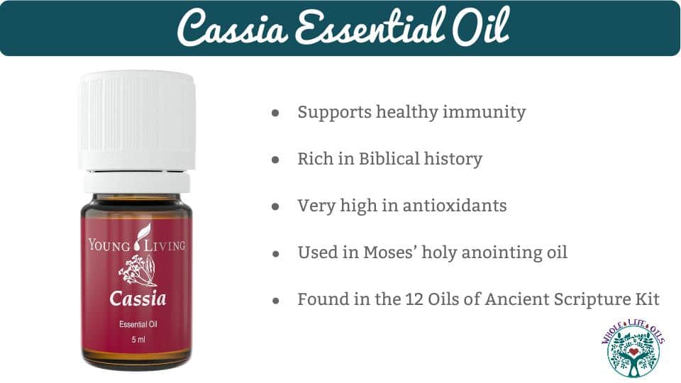 Cassia Essential Oil and Its Health Benefits
