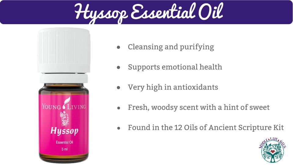 Hyssop Essential Oil and Its Health Benefits