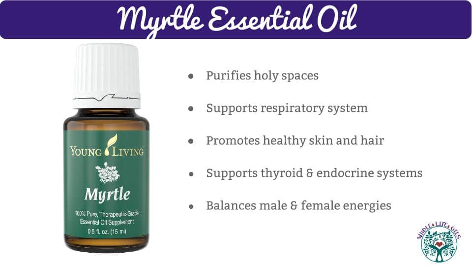Myrtle Essential Oil and Its Health Benefits