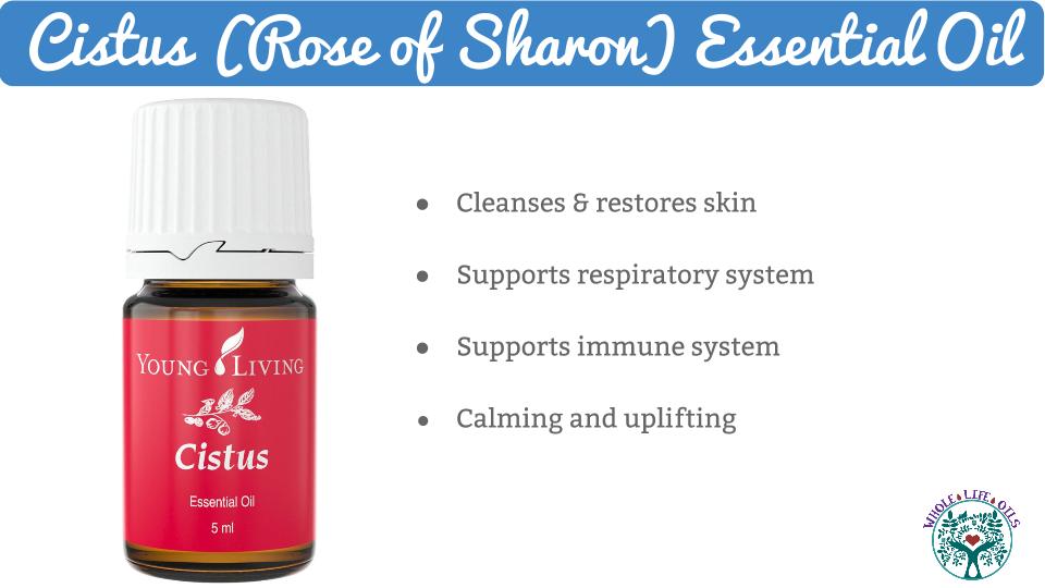 Cistus (Rose of Sharon) Essential Oil and Its Health Benefits