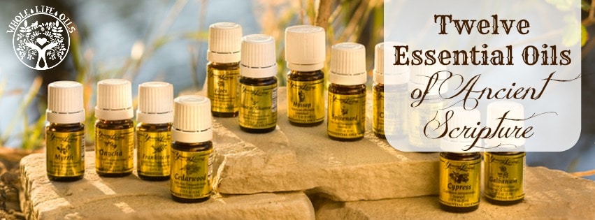 12 Essential Oils of Ancient Scripture - The Most Popular, Most Important Herbs and Oils of the Bible