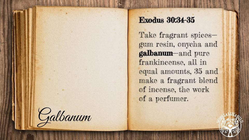 Biblical References to Galbanum Essential Oil
