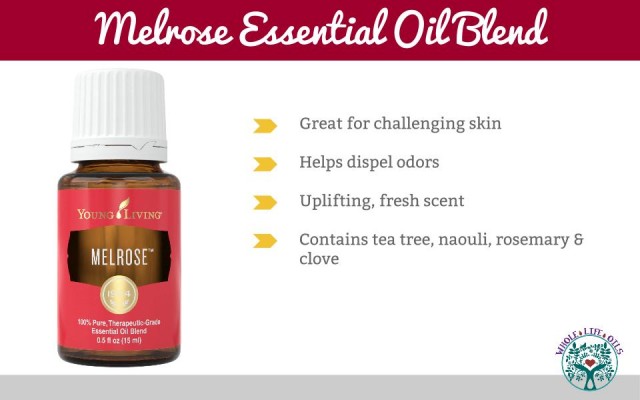 All About Melrose Essential Oil Blend - Great for the skin!